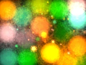 my_image00017