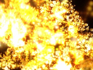 my_image113884