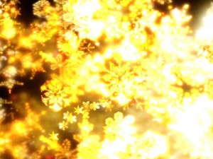 my_image23916